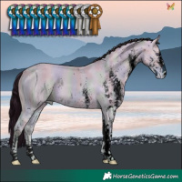 Horse Color:ERROR: UNKNOWN ANOMALY