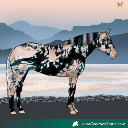 Horse Color:ERROR: UNKNOWN ANOMALY