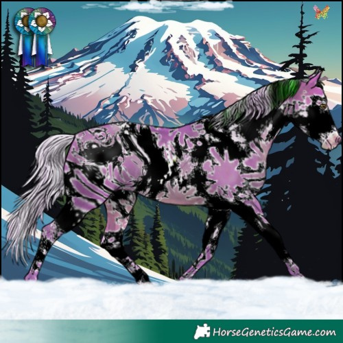 Horse Color:ERROR: UNKNOWN ANOMALY