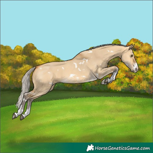 Horse Color:White Spotted Silver Buckskin Dun Sabino