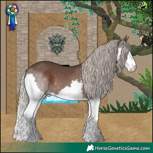 Horse Color:White Spotted Silver Black Splash
