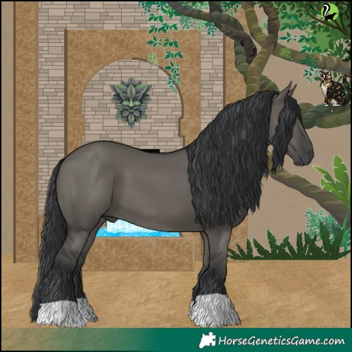 Horse Color:Grullo