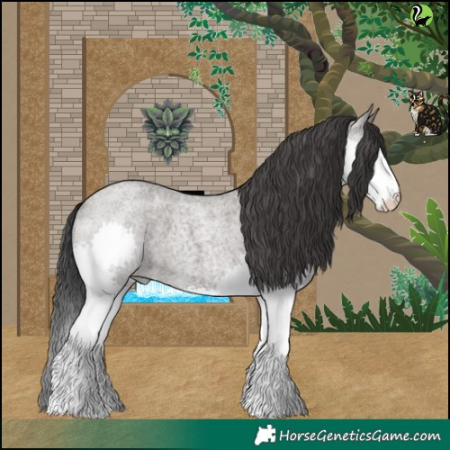 Horse Color:Grullo Roan Splash 