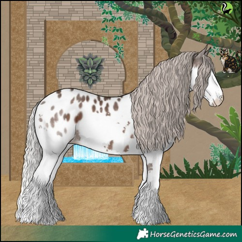 Horse Color:Silver Black Splash Blanket 