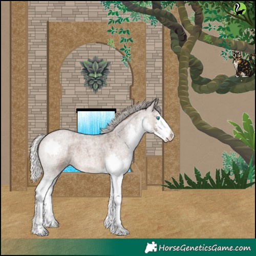Horse Color:Silver Brown Roan Dun Splash