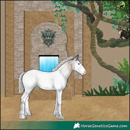 Horse Color:Silver Brown Roan Dun Splash