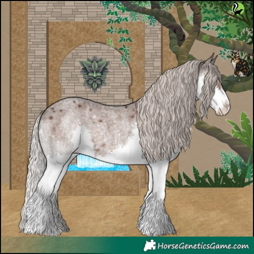 Horse Color:Silver Blue Roan Splash