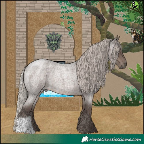 Horse Color:Silver Blue Roan