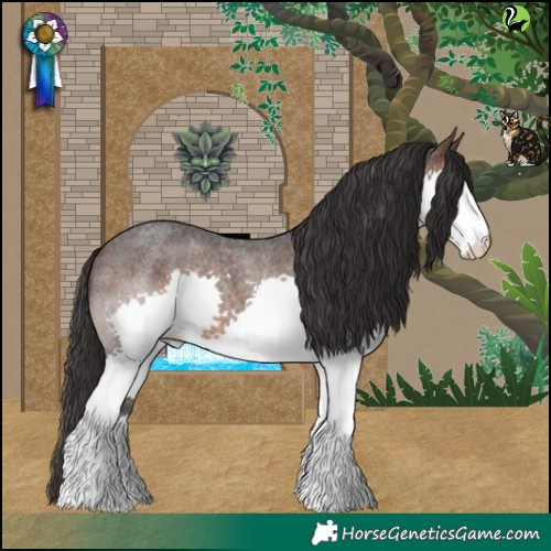Horse Color:Brown Roan Splash