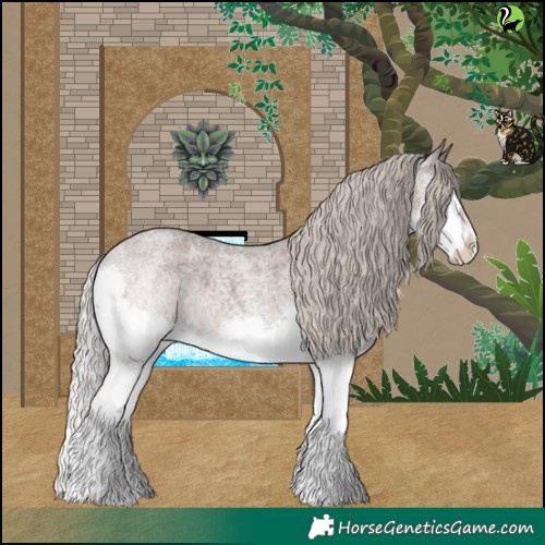 Horse Color:Silver Blue Roan Splash 