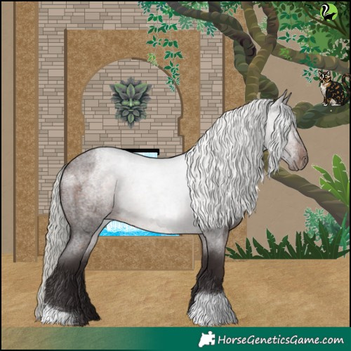 Horse Color:Silver Brown Roan