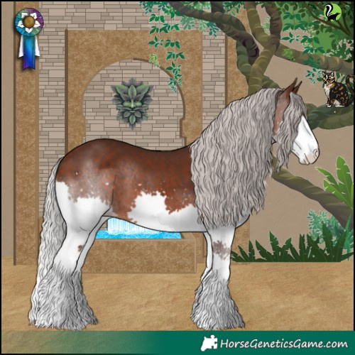 Horse Color:Silver Brown Splash 