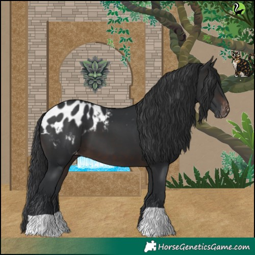 Horse Color:Brown Blanket