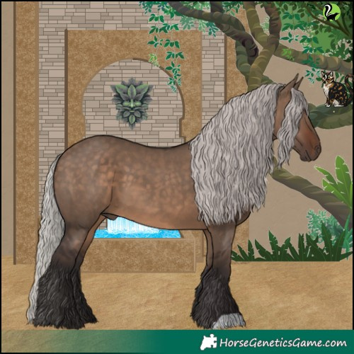 Horse Color:Silver Brown Dun 
