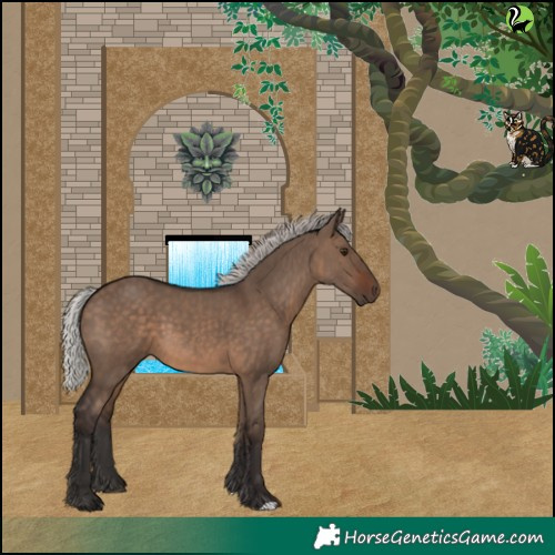 Horse Color:Silver Brown Dun 
