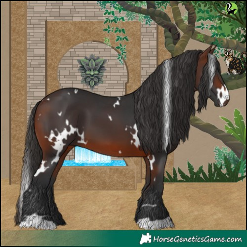 Horse Color:White Spotted Brown 