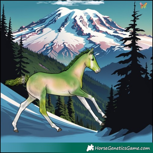 Horse Color:Watercolor Buckskin Onyx Tobiano 