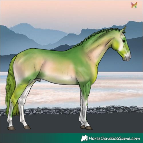 Horse Color:Watercolor Buckskin Onyx Tobiano