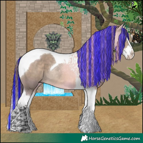 Horse Color:Painted Brown Dun Splash Tobiano