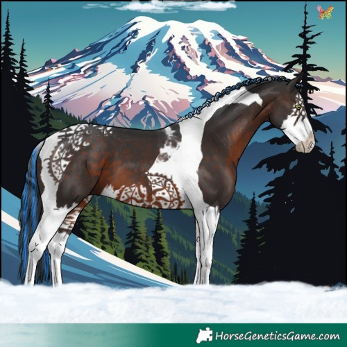 Horse Color:Painted Brown Splash Tobiano