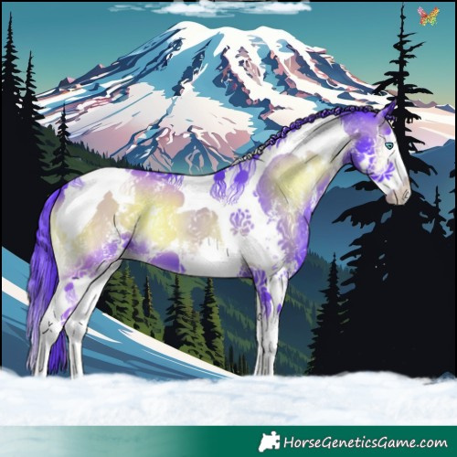 Horse Color:Watercolor Blue Onyx Sabino Splash Tobiano 
