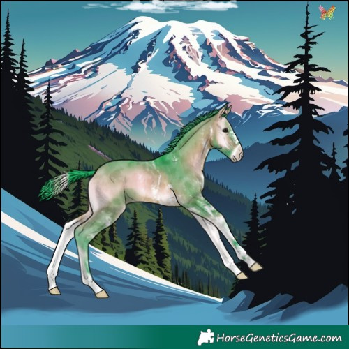 Horse Color:Watercolor Brown Onyx Sabino 