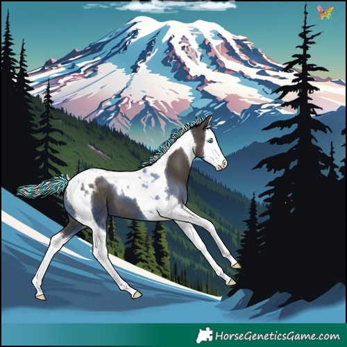 Horse Color:Painted Silver Black Splash Tobiano 