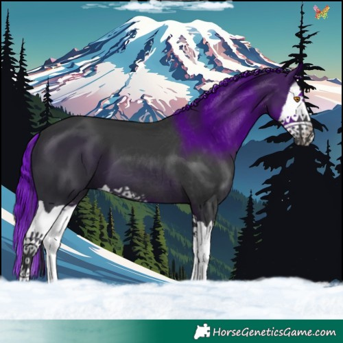 Horse Color:Painted Black Splash