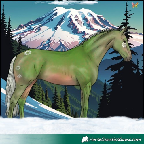 Horse Color:Watercolor Silver Buckskin