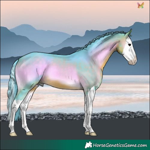 Horse Color:Watercolor Buckskin Onyx Splash 