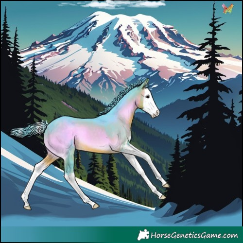 Horse Color:Watercolor Buckskin Onyx Splash