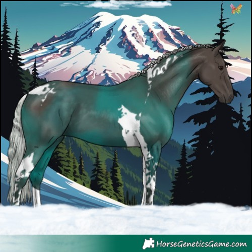 Horse Color:Silver Black Tobiano