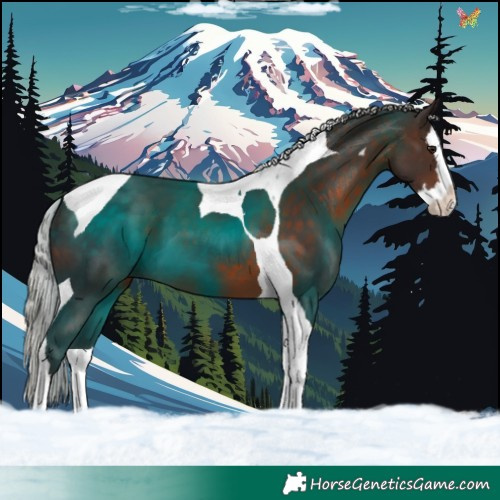 Horse Color:Silver Brown Splash Tobiano