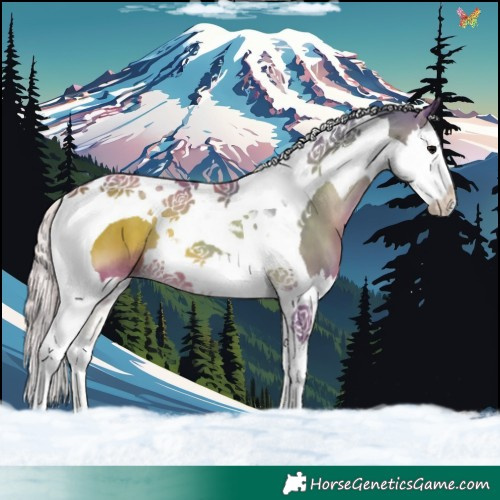 Horse Color:Watercolor Silver Blue Onyx Splash Tobiano 