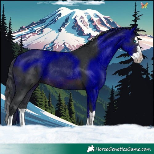 Horse Color:Brown Splash 