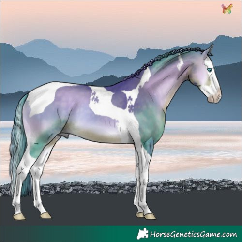 Horse Color:Watercolor Buckskin Onyx Splash Tobiano 
