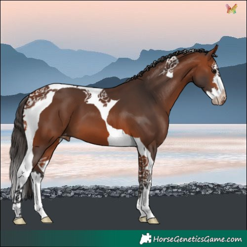 Horse Color:Bay Splash Tobiano Varnish