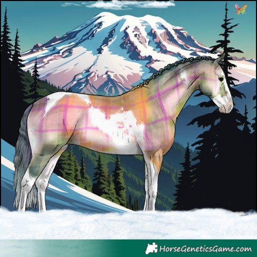 Horse Color:Watercolor Plaid  Brown Onyx Splash Tobiano 