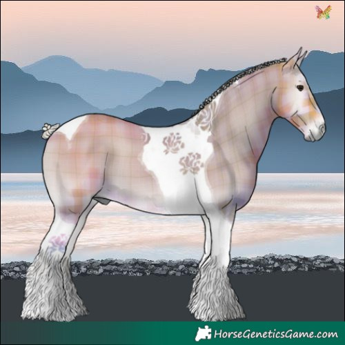 Horse Color:Watercolor Plaid Silver Buckskin Onyx Tobiano