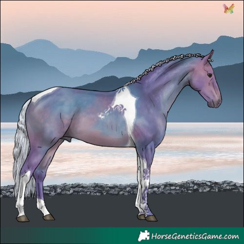 Horse Color:Watercolor Silver Brown Tobiano