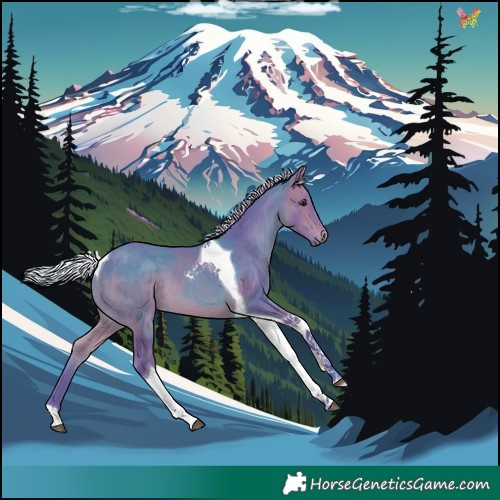 Horse Color:Watercolor Silver Brown Tobiano 