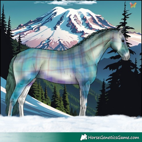 Horse Color:Watercolor Plaid Brown Onyx