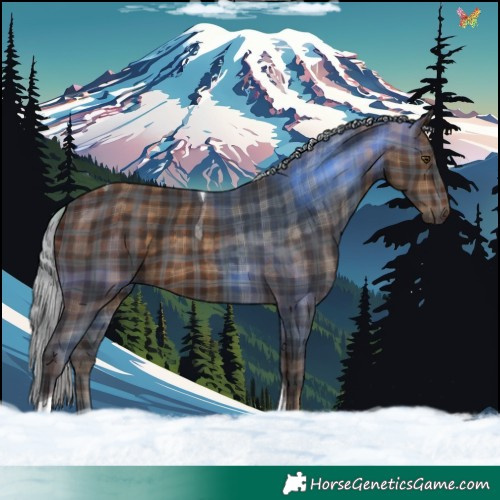 Horse Color:Plaid Silver Brown Tobiano Rabicano