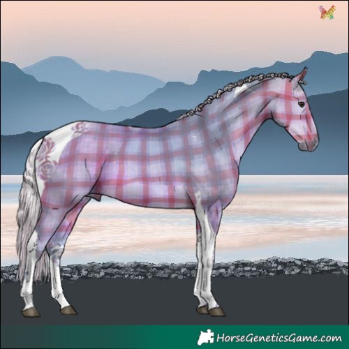 Horse Color:Watercolor Plaid Silver Buckskin Tobiano