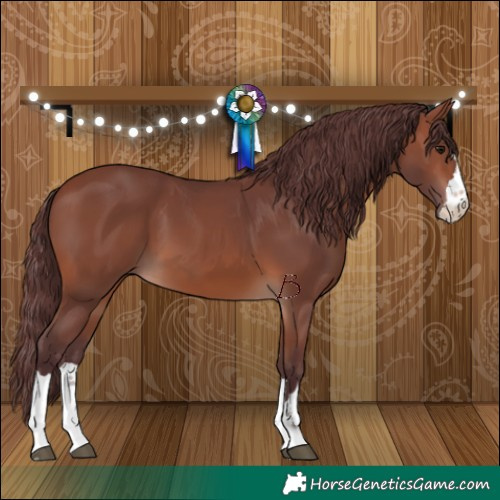 Horse Color:Chocolate Brown