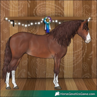 Horse Color:Chocolate Brown 