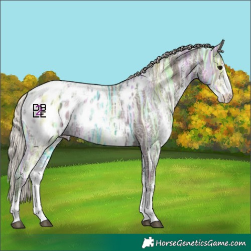 Horse Color:White Spotted Silver Black Ice Appaloosa 