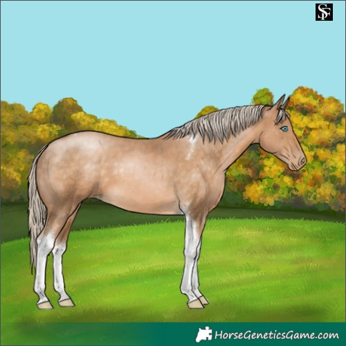 Horse Color:Chocolate Palomino Snowdrop Tobiano 