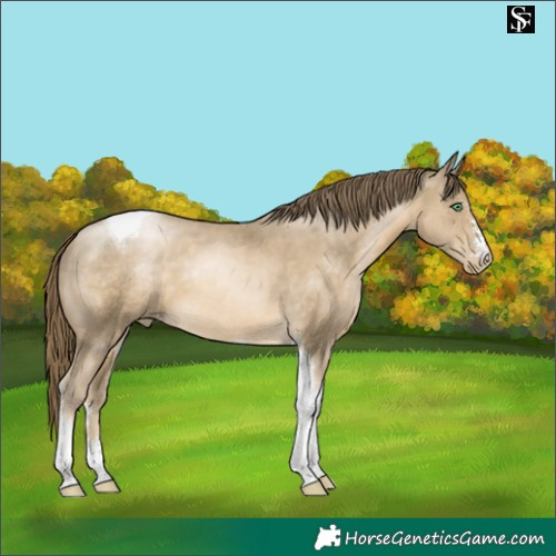 Horse Color:Smoky Black Snowdrop Tobiano 