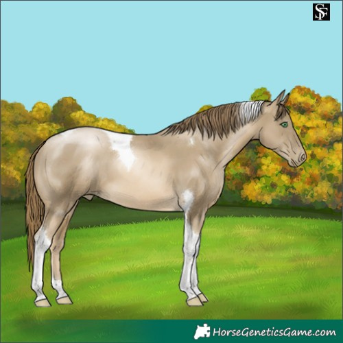 Horse Color:Smoky Black Snowdrop Tobiano 